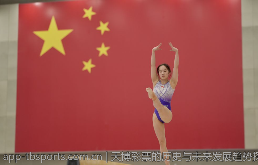 天博彩票的历史与未来发展趋势探讨