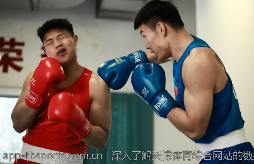 深入了解天博体育综合网站的数据分析工具